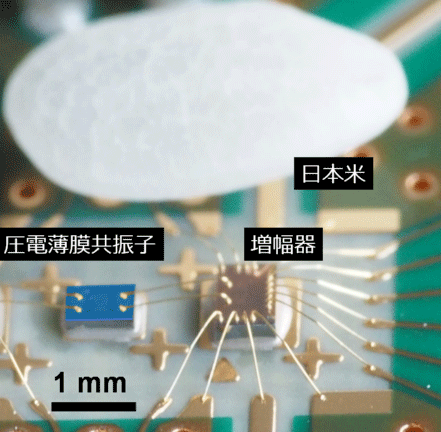 圧電薄膜共振子を用いた発振器の写真