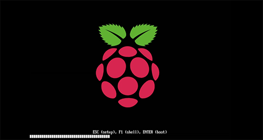 Raspberry Pi ESXi fig1