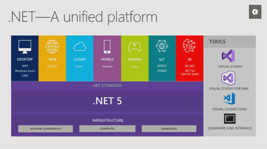 .NET Roadmap fig4