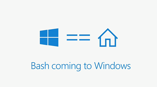 Bash on Windows