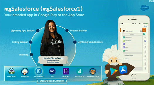 mySalesforce