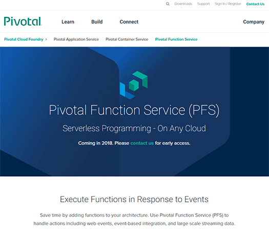 Pivotal Function Services