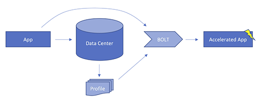 BOLT fig1