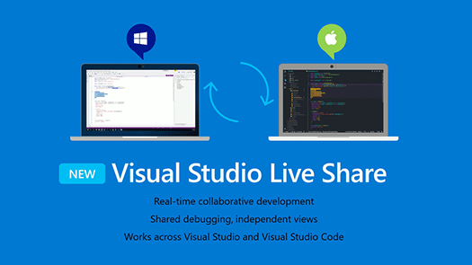 Visual Studio Live Share fig1